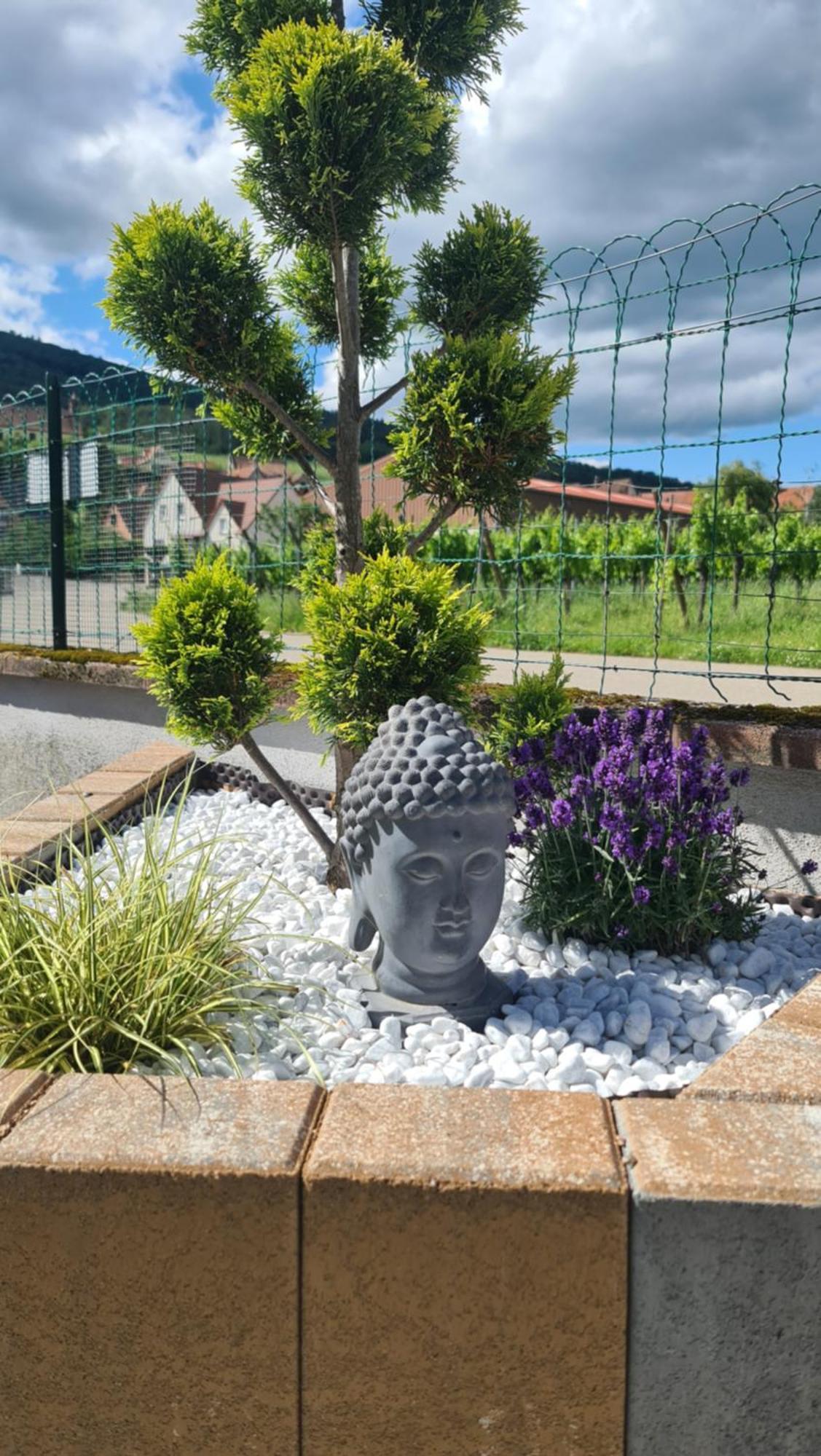 Au Jardin D'Edel Gites Centre Alsace Dieffenthal ภายนอก รูปภาพ